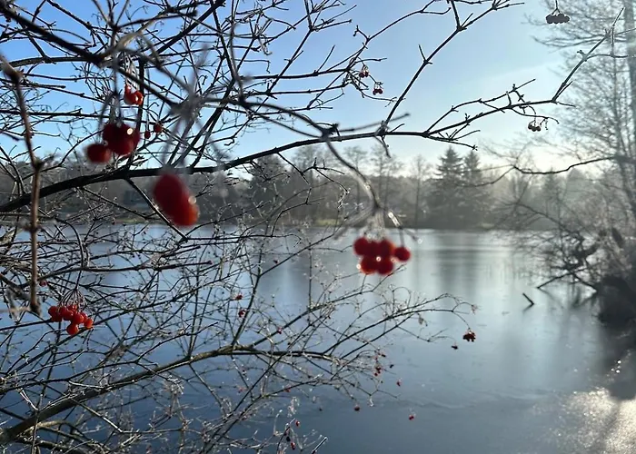 Zerpini Апартаменты