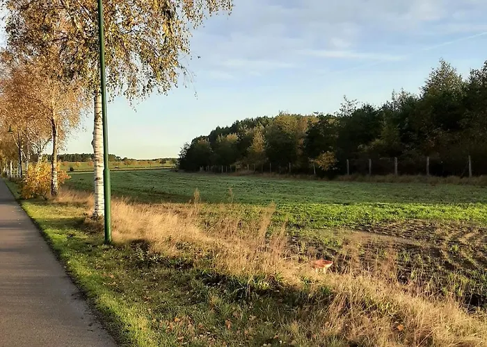 Zerpini Вандлиц